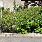 Valimontien Residenssi * 쿠볼라