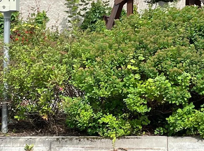 Valimontien Residenssi * Kouvola